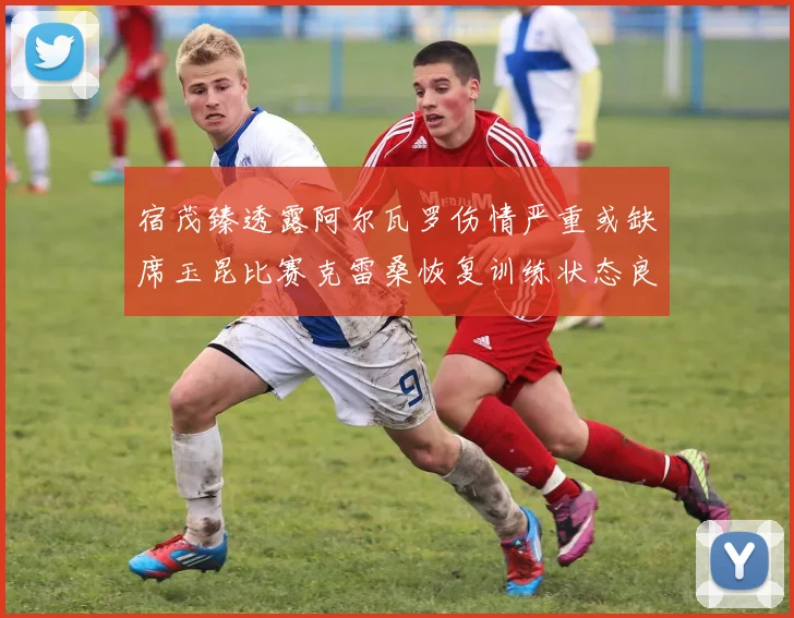 宿茂臻透露阿尔瓦罗伤情严重或缺席玉昆比赛克雷桑恢复训练状态良好